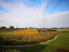 -紫颐香薰山谷景区