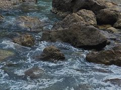 -大连金石滩滨海国家地质公园