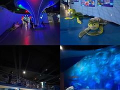 -泉城欧乐堡海洋极地世界