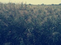 -处女泉风景名胜区
