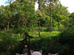 -大雁山风景区