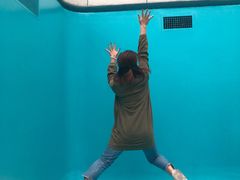 -金泽21世纪美术馆