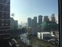 -复旦大学附属妇产科医院(杨浦院区)