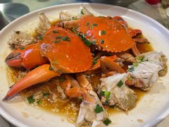 -松沪名灶·新上海菜(飞航吾悦广场店)