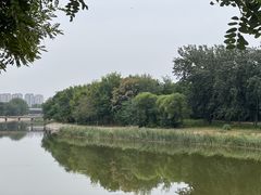 -北运河水利风景区