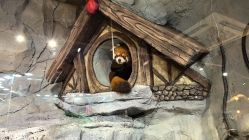 -Zoolung Zoolung动物主题公园(海信广场店)