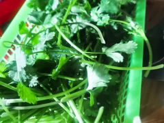 香菜-洪大厨鸡煲(福田店)