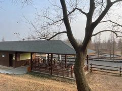 -东海森林温泉度假酒店