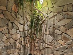 -陈熹公民族美食文化餐厅(中华广场店)