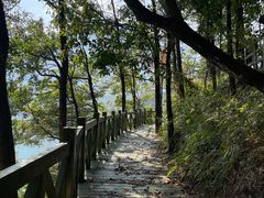 -广州市流溪河国家森林公园
