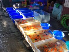 -桂林市花鸟市场