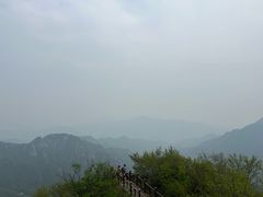 -大岭沟猕猴桃谷风景区