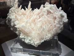 -湖南省地质博物馆