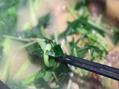 -陈江波老鸭煲(化工路店1号店)