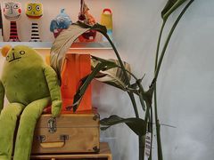 -BE YOLO必有乐&小红帽三明治