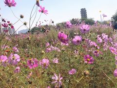 -济南国际园博园