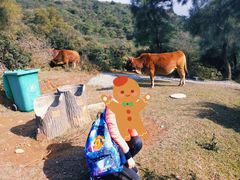 -大姆山草场
