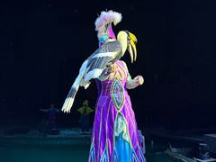-广州长隆国际大马戏