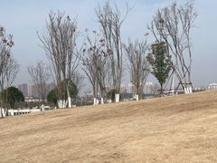 -盘龙城国家考古遗址公园