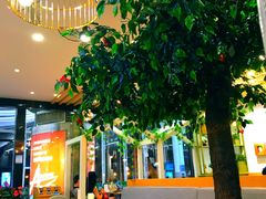 -仙踪林(杭州萧山国际机场店)