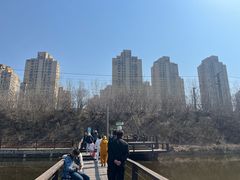 -前关湿地公园