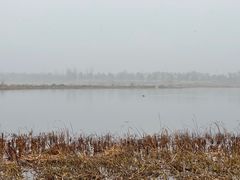 -绿堤公园