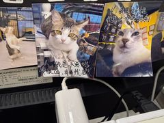 -谜盒子奇幻密室(南屏店)