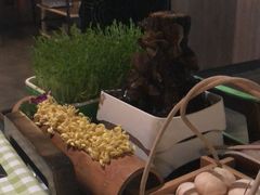 长白山黑绒木耳-番食园鲜食火锅(高新店)