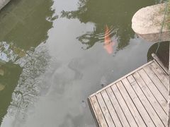 -丝绸小镇荻港古村