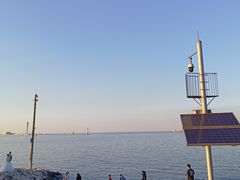 -上海滨江森林公园