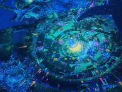 -海合安武汉极地海洋公园