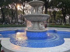 -上海鲜花港