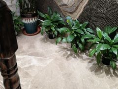 -海铺·渔家虾水饺(皇姑店)