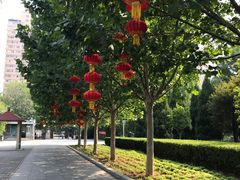 -丰台花园