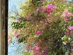 -深圳国际园林花卉博览园