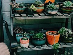 自助调料区-凤来栖·净庭院·火锅(欧尚店)