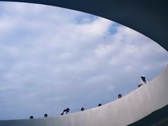 -光明小镇欢乐田园