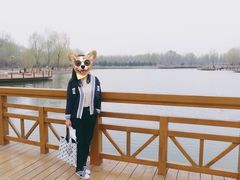 -东郊湿地公园