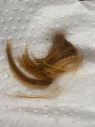 -IP SALON