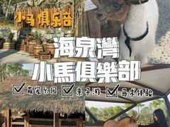 -珠海海泉湾神秘岛亲子乐园