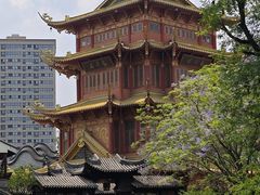 -龙潭水乡