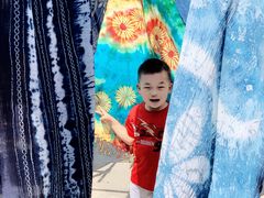 -璞真扎染博物馆