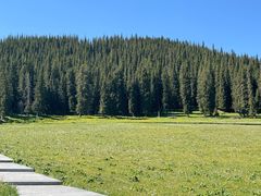 -新疆国际大巴扎