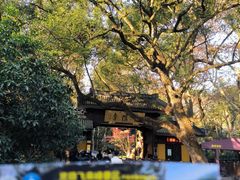 -南宋胡记(杭州体育场路店)