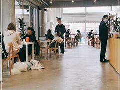 -VOYAGE COFFEE 咖啡烘焙工坊店(798艺术区店)