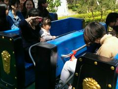 -广东茂名森林公园