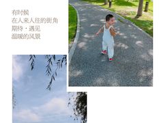 -月湖风景区
