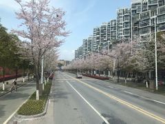 -千岛湖城中湖游船码头