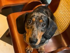 -工页咖啡X COFFEE(龙东路店)