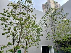 -大芬美术馆